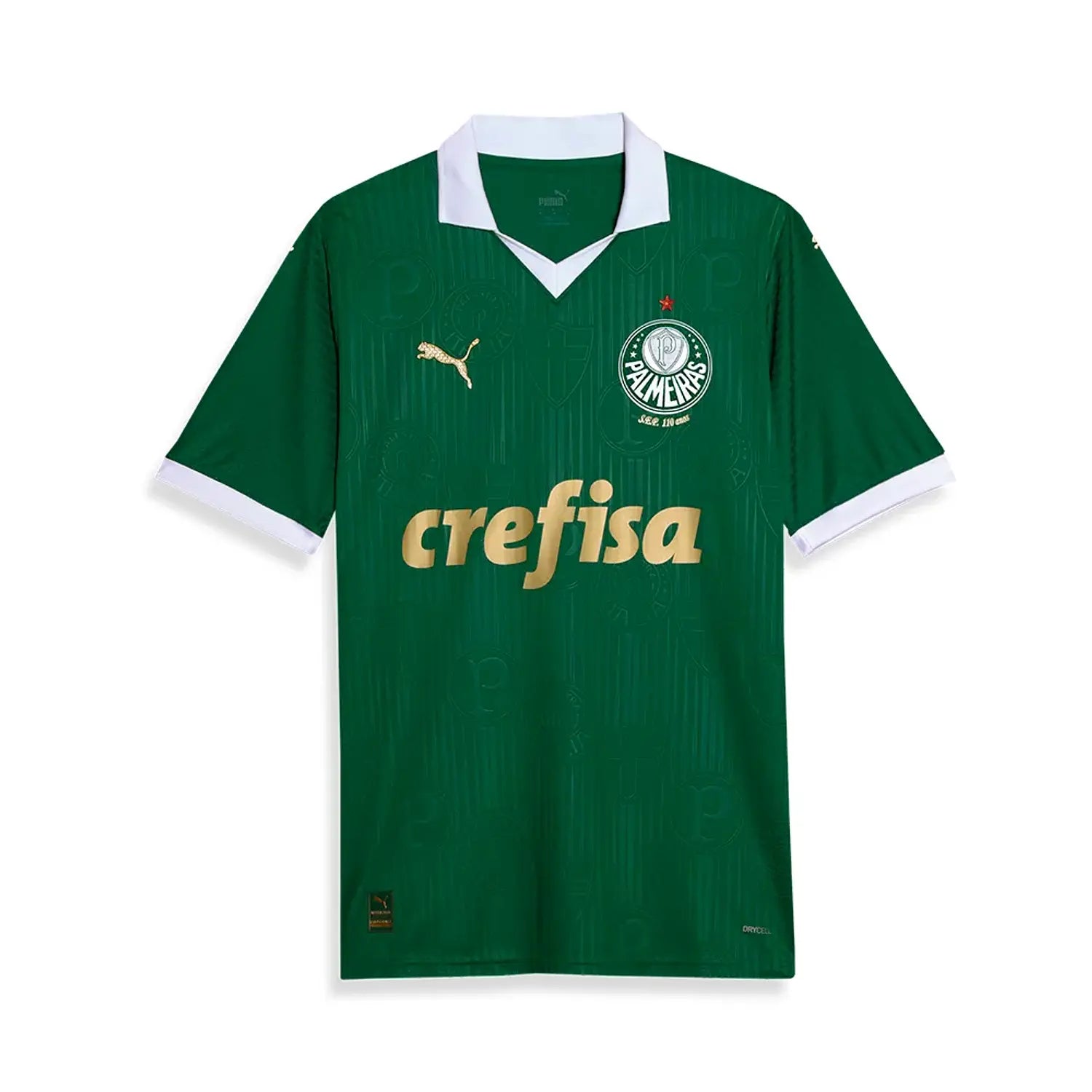 Camisola Palmeiras Local 24/25