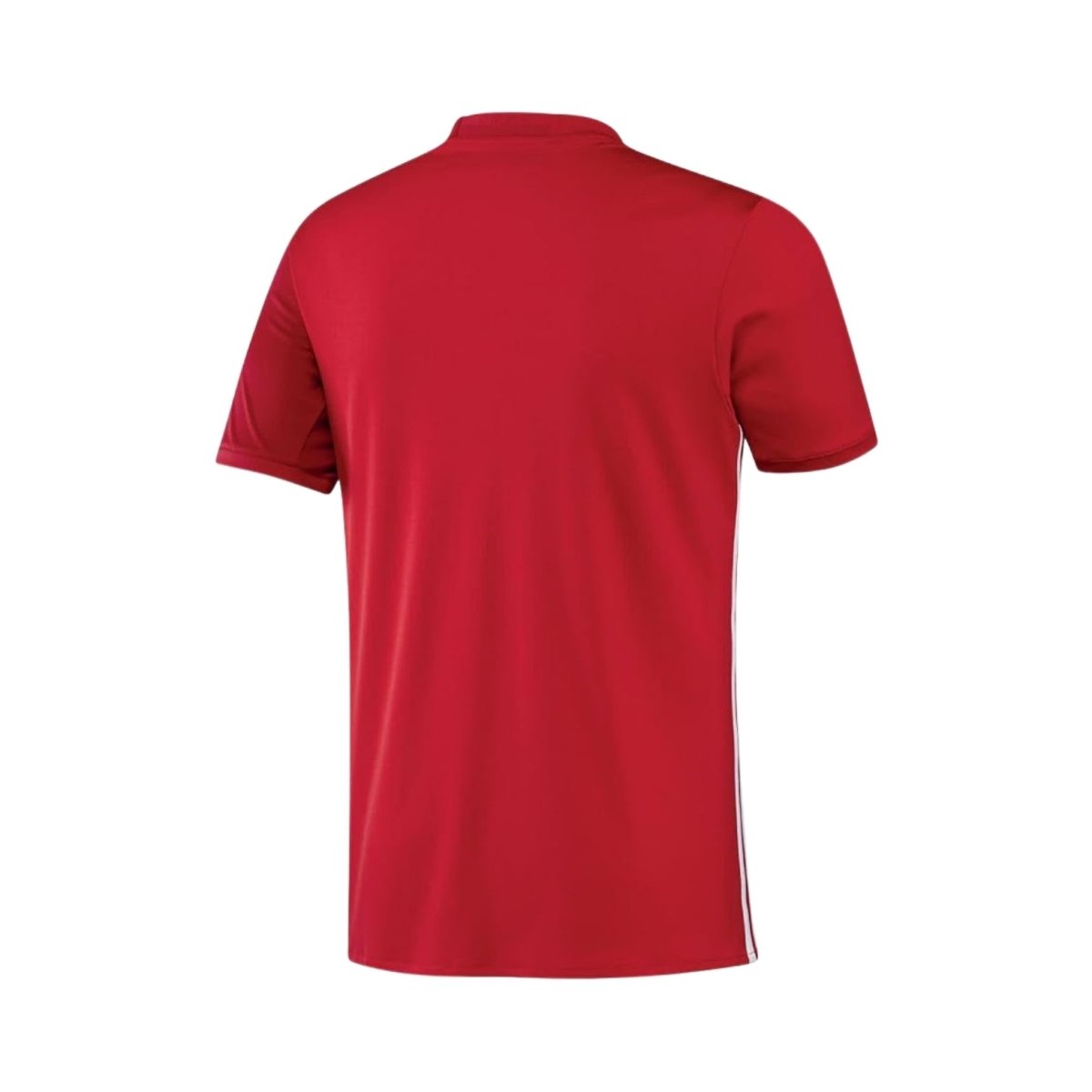 Manchester United Local 16/17