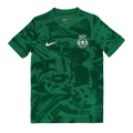 Camisola pré jogo verde 25/26 - LANÇAMENTO